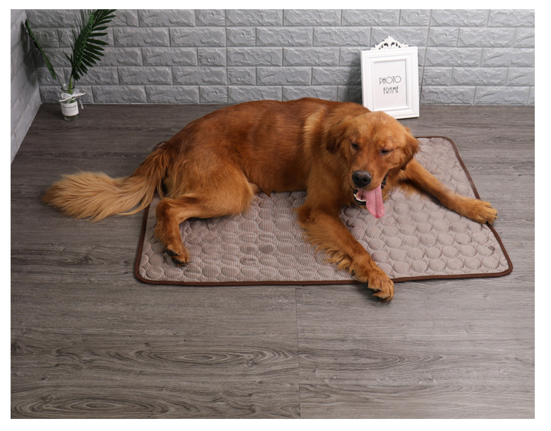 Doggycast - Cooling Dog Mat For Summer