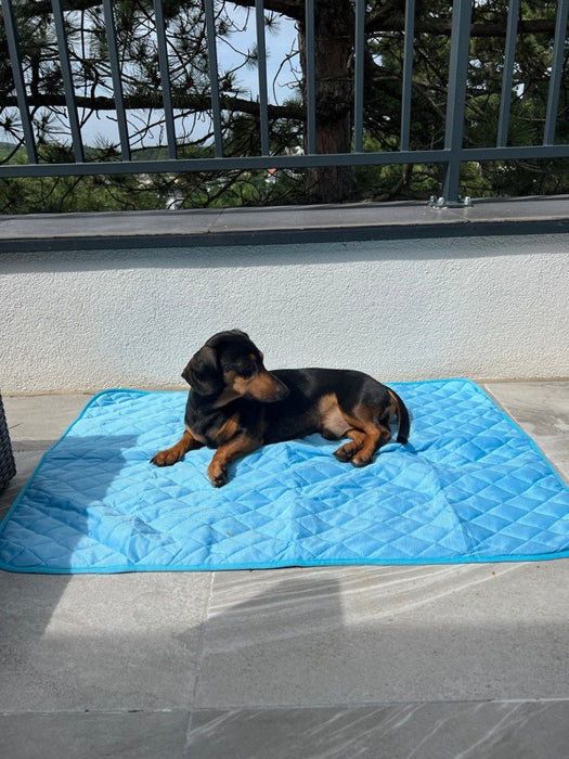 Doggycast - Cooling Dog Mat For Summer