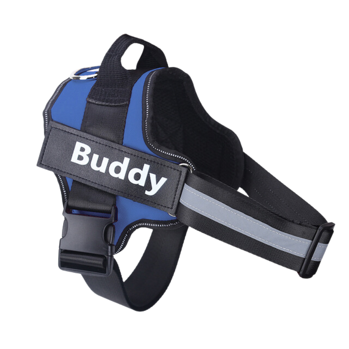 Personalized Doggycast NO PULL Harness
