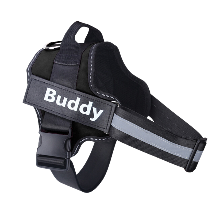 Personalized Doggycast NO PULL Harness